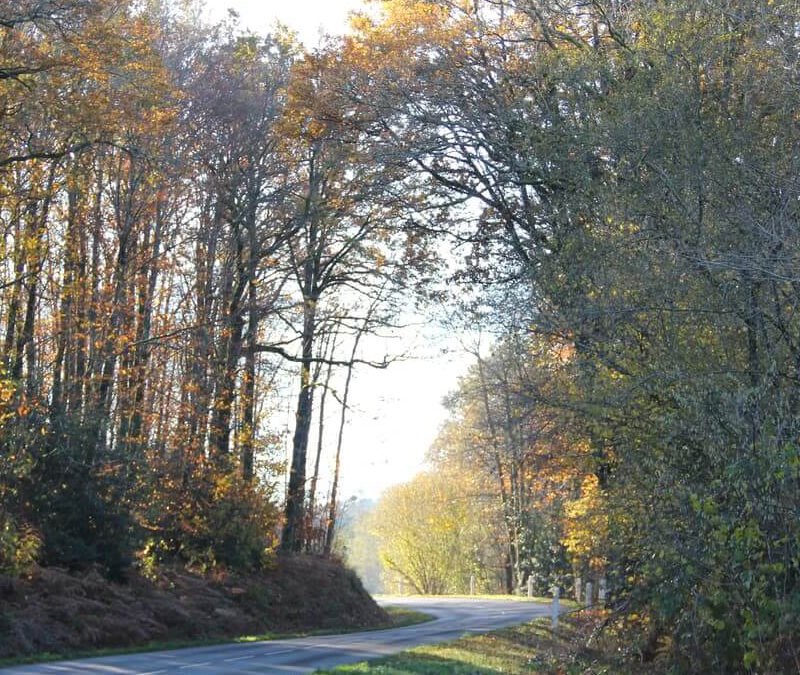 Comité syndical du 23 janvier 2026