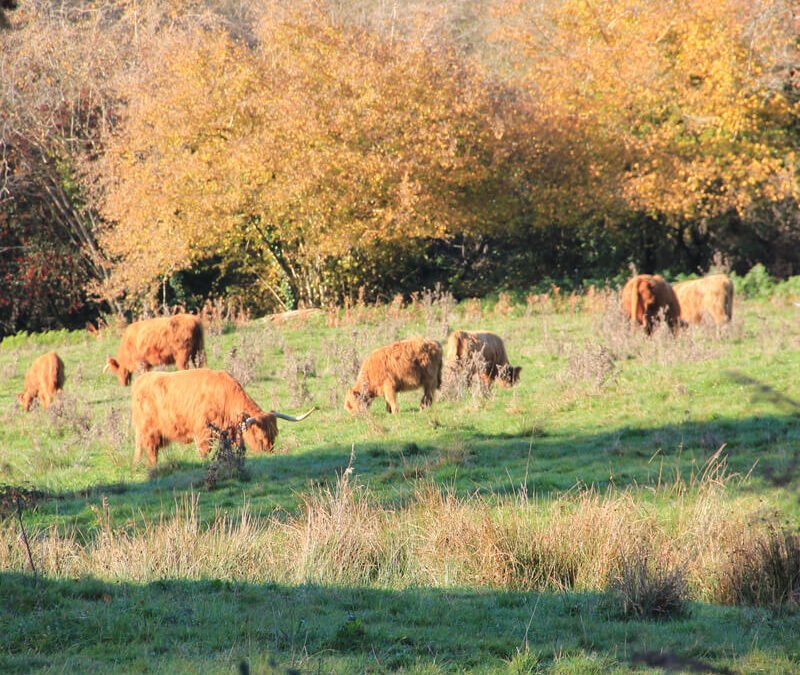 Comité syndical du 19 décembre 2025